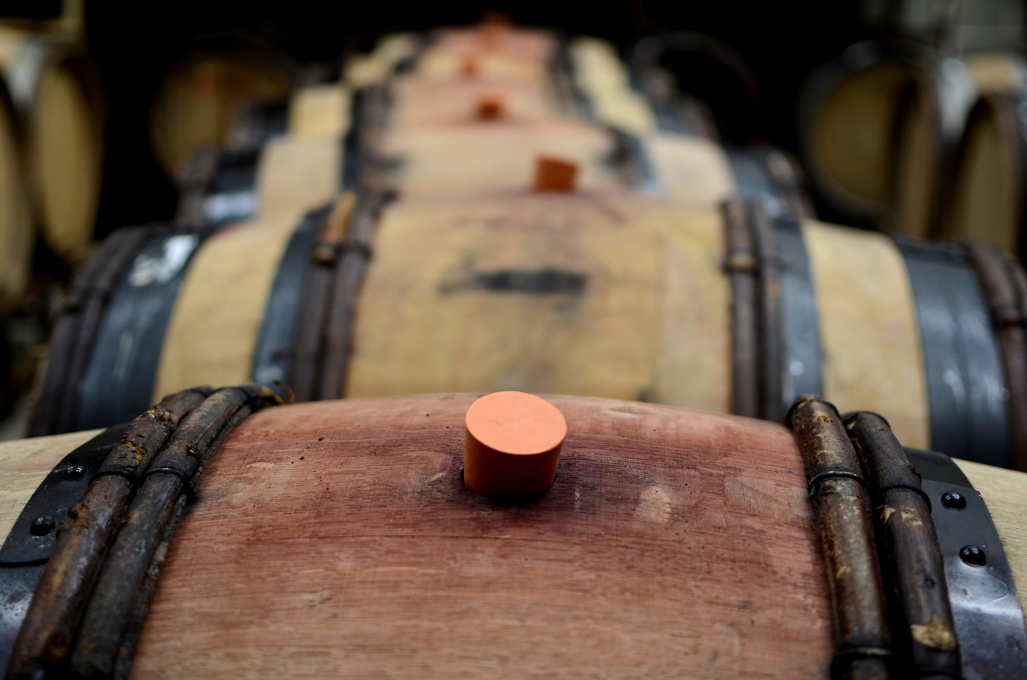 Beer aging in barrels stored in the taproom