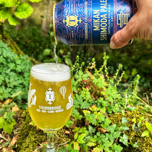 Mikan Shimoda Pale - 3.8% ABV Satsuma Pale Ale 330ml can Beer - Single Can Thornbridge