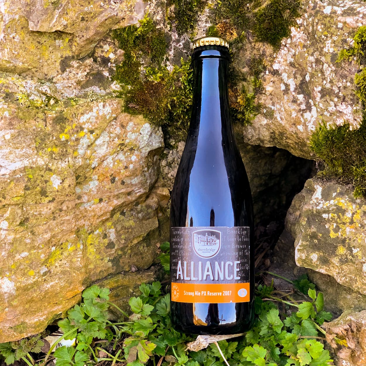 Alliance Pedro Ximenez Barrel Aged, 11% Strong ale aged for 18 months in Pedro Ximenez casks (Brooklyn collab) 375ml bottle Beer - Cellar Reserve Thornbridge