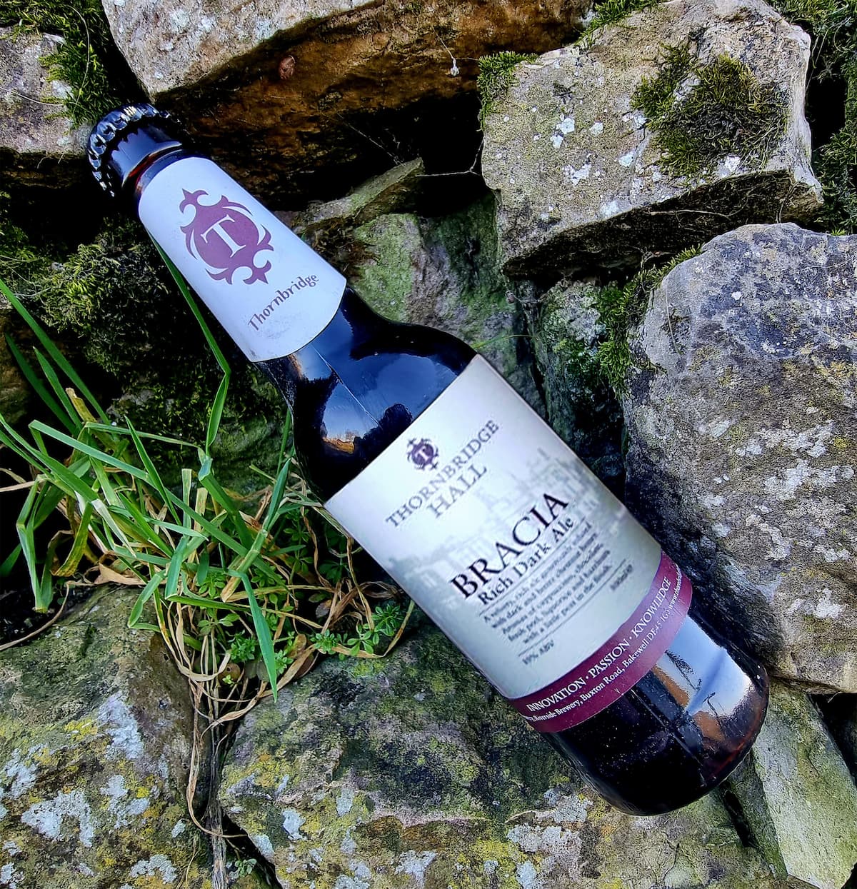 Bracia, 10% Rich Dark Ale infused with chestnut honey 500ml bottle Beer - Cellar Reserve Thornbridge