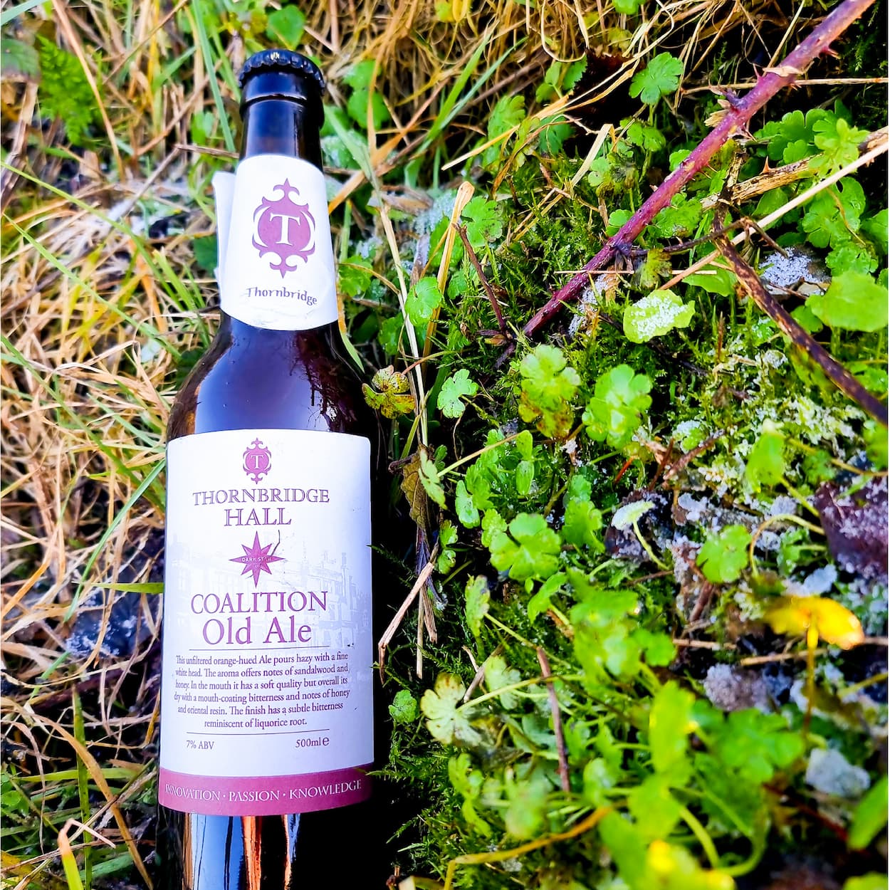 Coalition, 7% Unfiltered traditionally aged Old Ale (Burning Sky collab) 500ml bottle Beer - Cellar Reserve Thornbridge