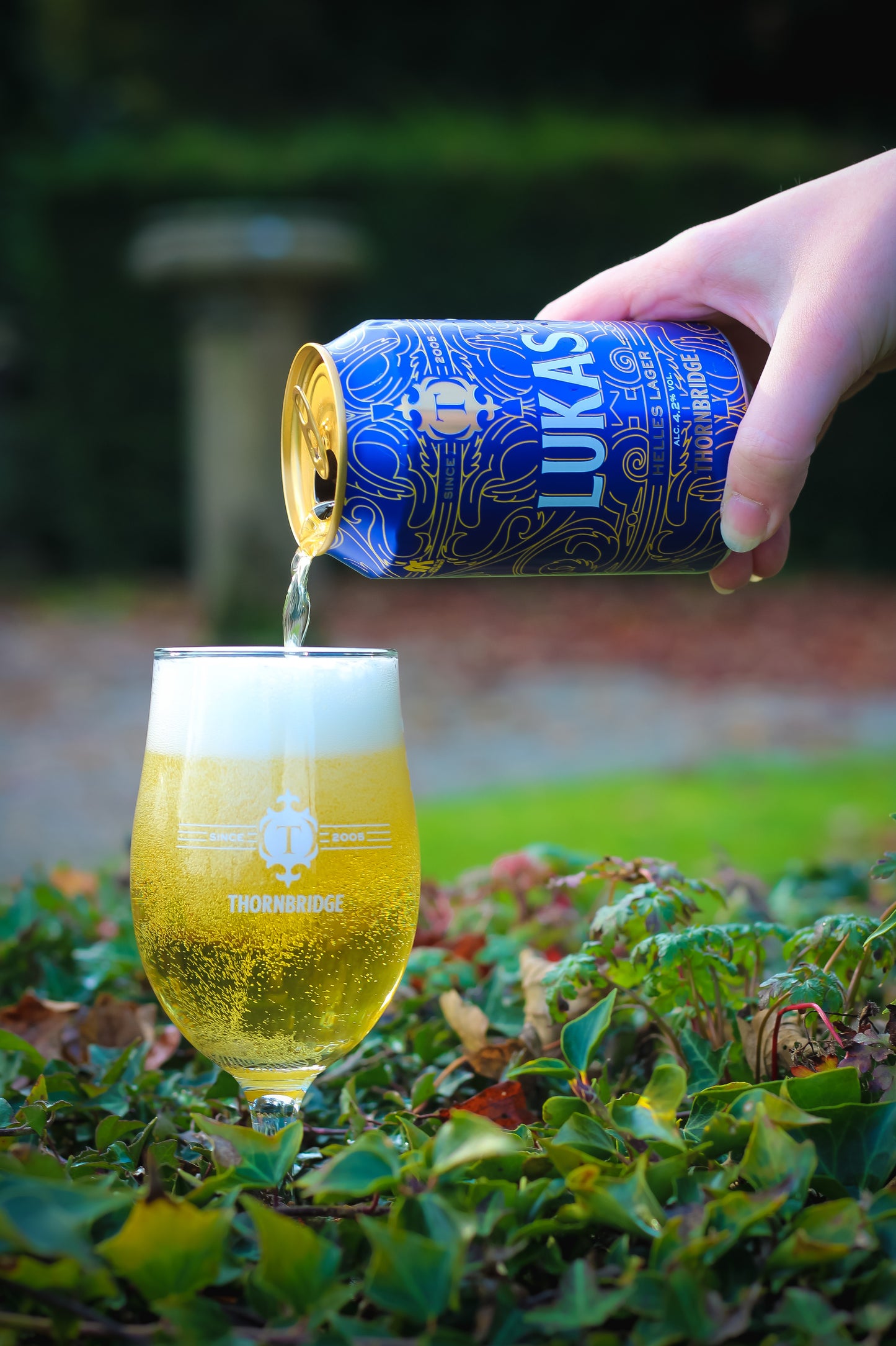 Lukas Cool Bag 6 pack, 4.2% Helles Lager (Gluten Free) 6x330ml Cans + Cool bag Beer - Mini Case Cans Thornbridge