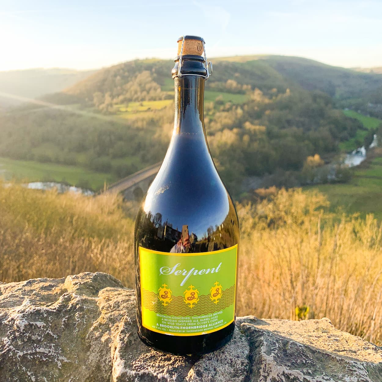 Serpent, 9.50% Belgian Golden Ale barrel aged on wild cider yeast (Brooklyn collab) 750ml bottle Beer - Cellar Reserve Thornbridge