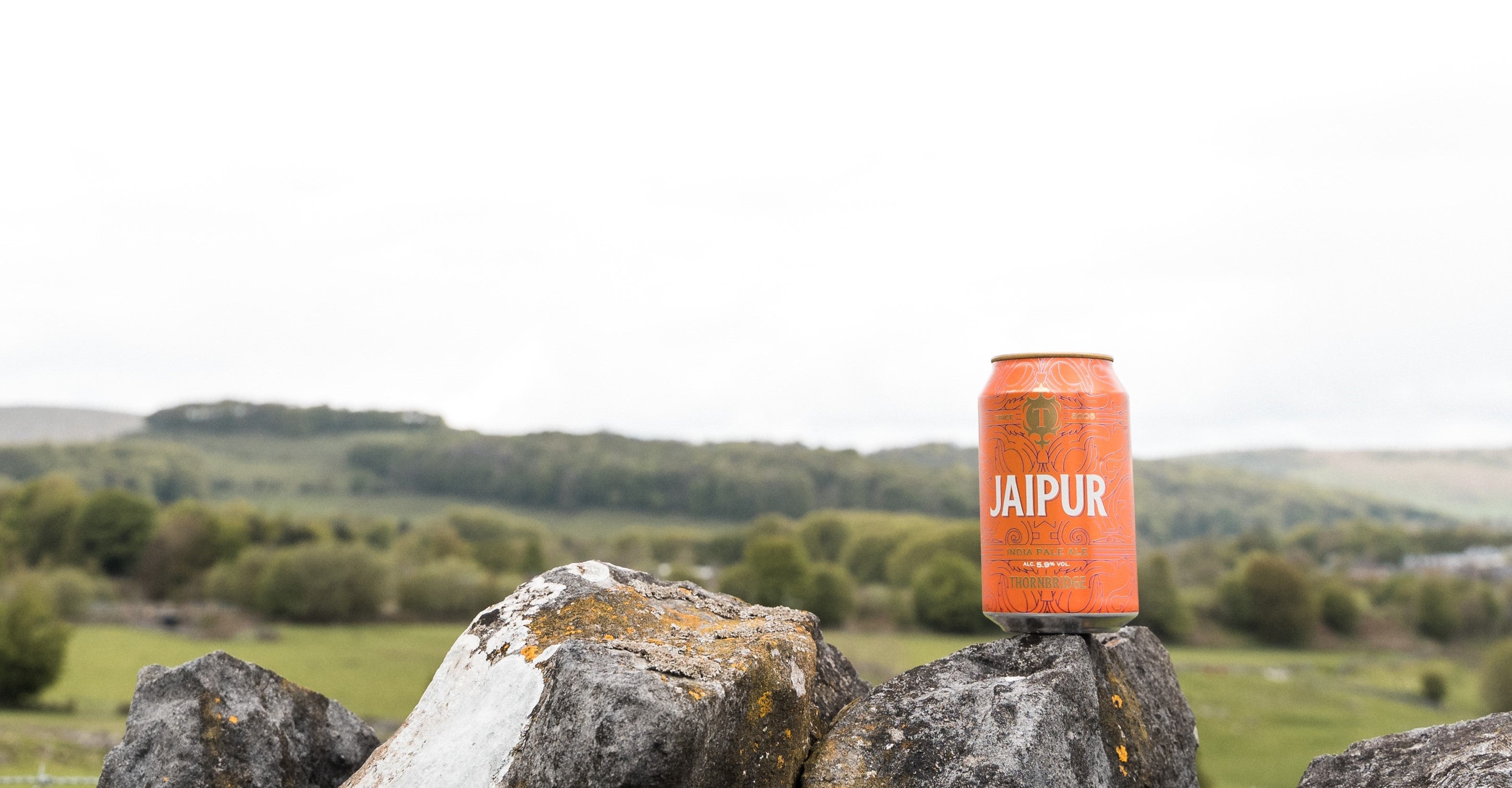 can of jaipur sat on a dry stone wall in the peak district national park