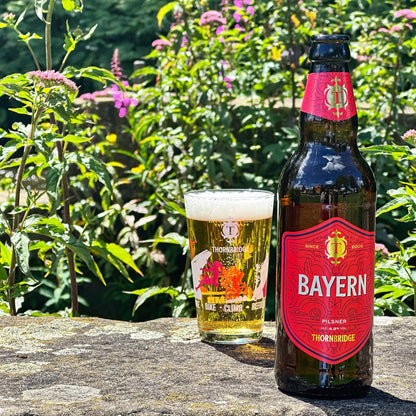 Bayern, 4.8% Pilsner 8 x 500ml bottles Beer - Case Bottle Thornbridge