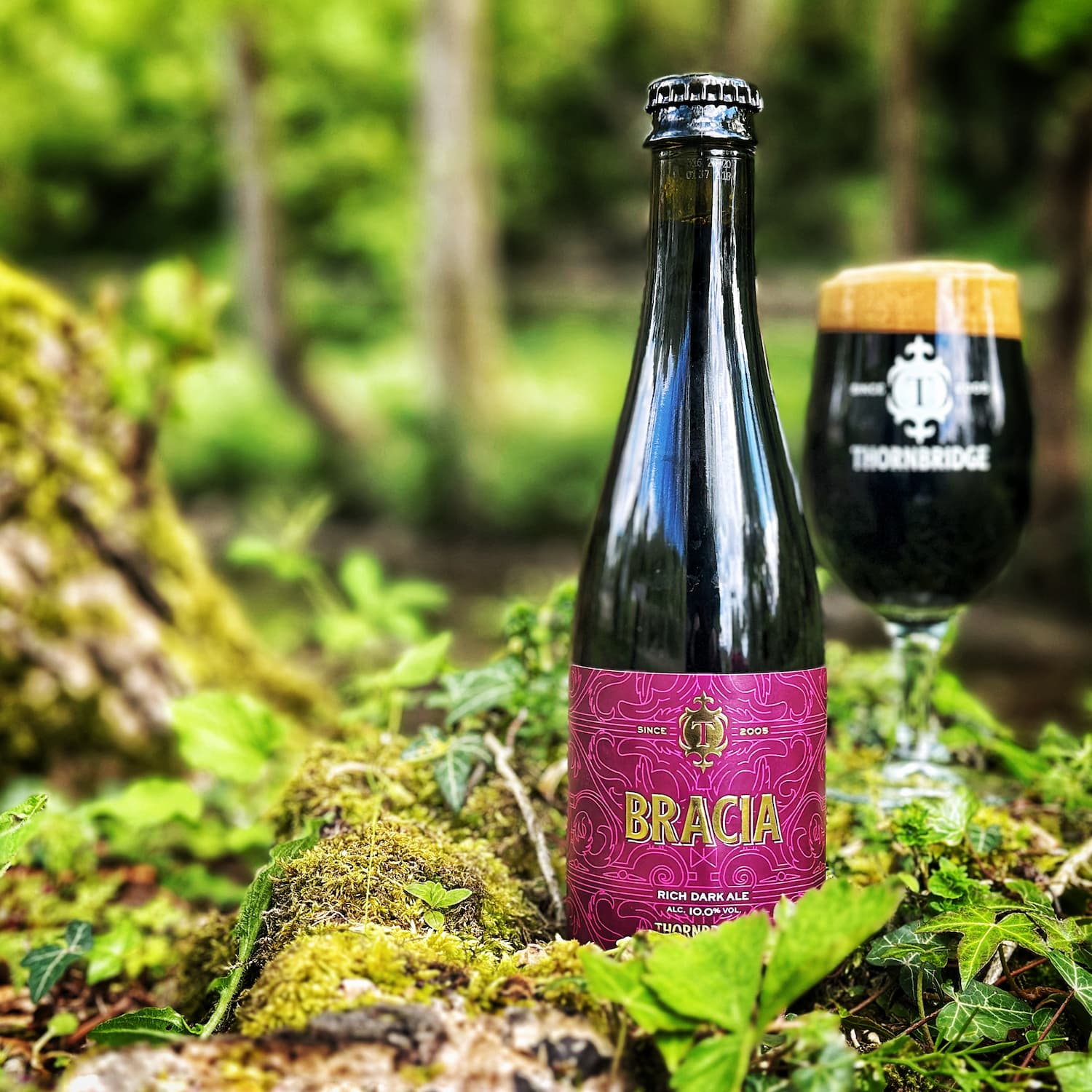 Bracia, 10% ABV Rich Dark Ale Beer - Bottle Thornbridge