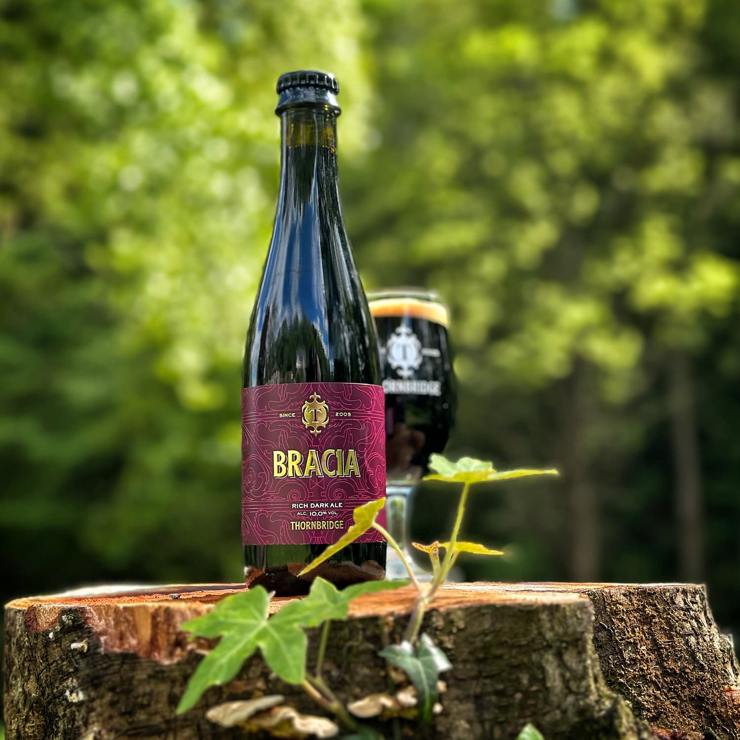 Bracia, 10% ABV Rich Dark Ale Beer - Bottle Thornbridge
