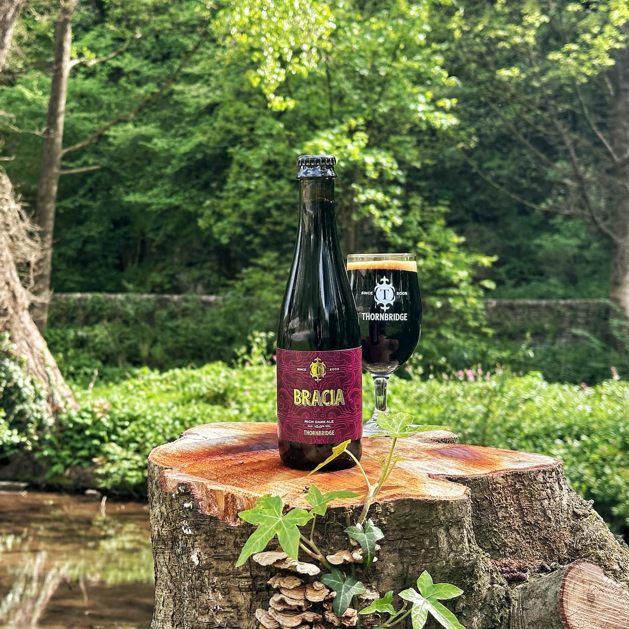 Bracia, 10% ABV Rich Dark Ale Beer - Bottle Thornbridge