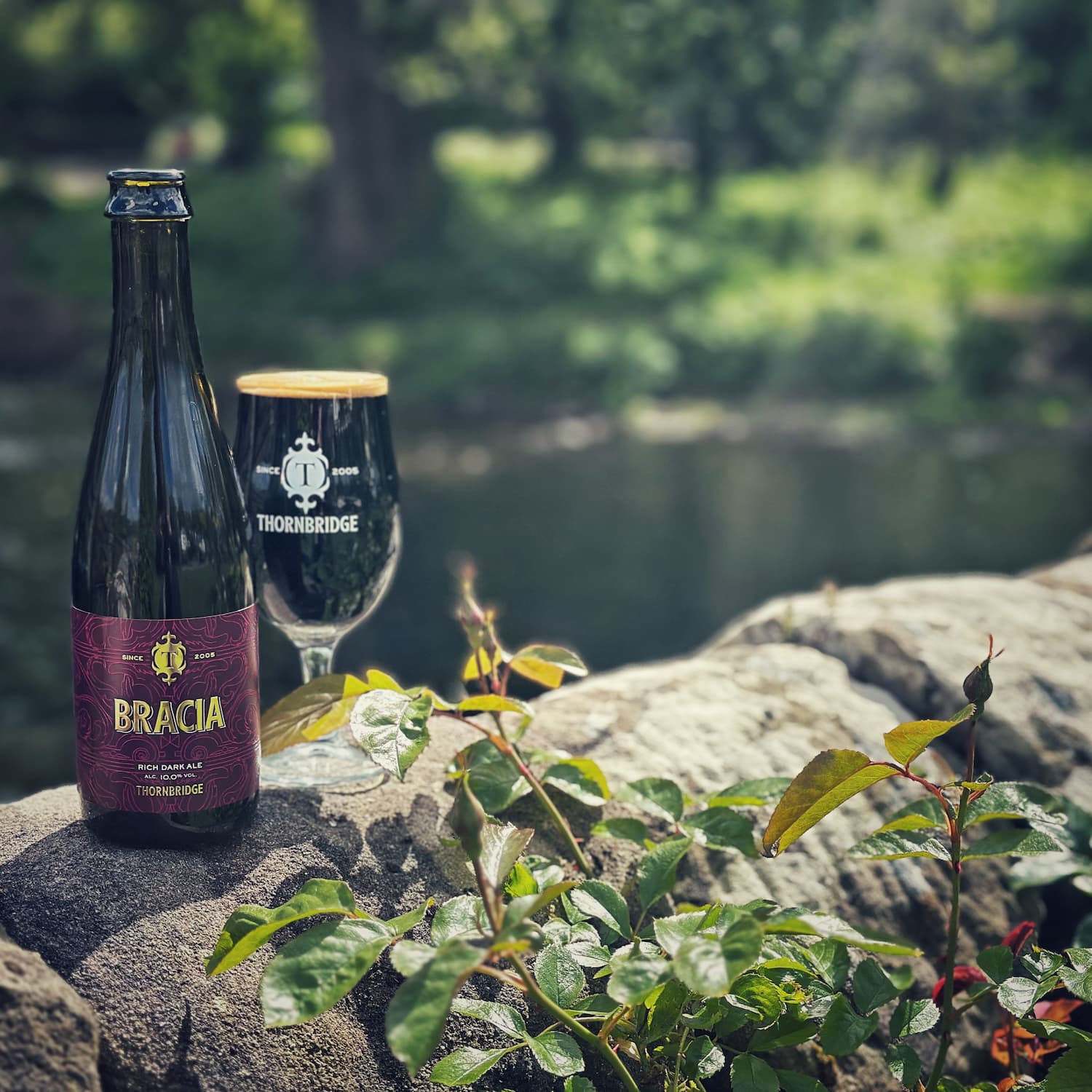 Bracia, 10% ABV Rich Dark Ale Beer - Bottle Thornbridge