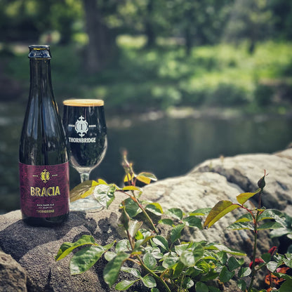 Bracia, 10% ABV Rich Dark Ale Beer - Bottle Thornbridge