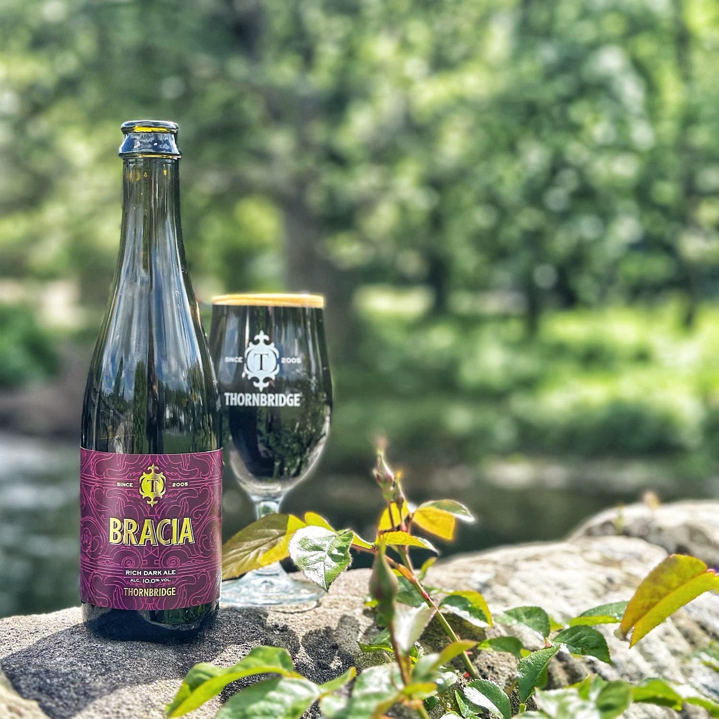 Bracia, 10% ABV Rich Dark Ale Beer - Bottle Thornbridge