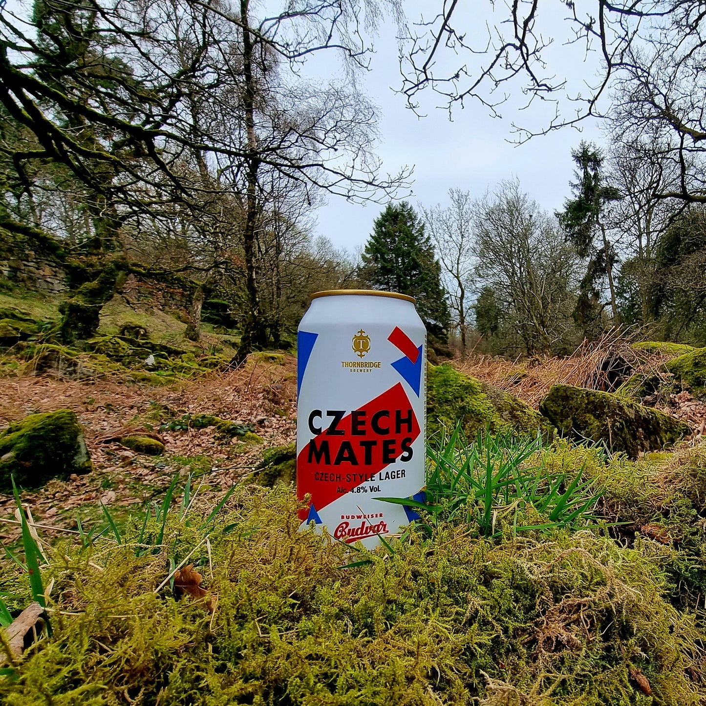 Czech Mates, 4.8% Czech Style Lager Beer - Cans Thornbridge