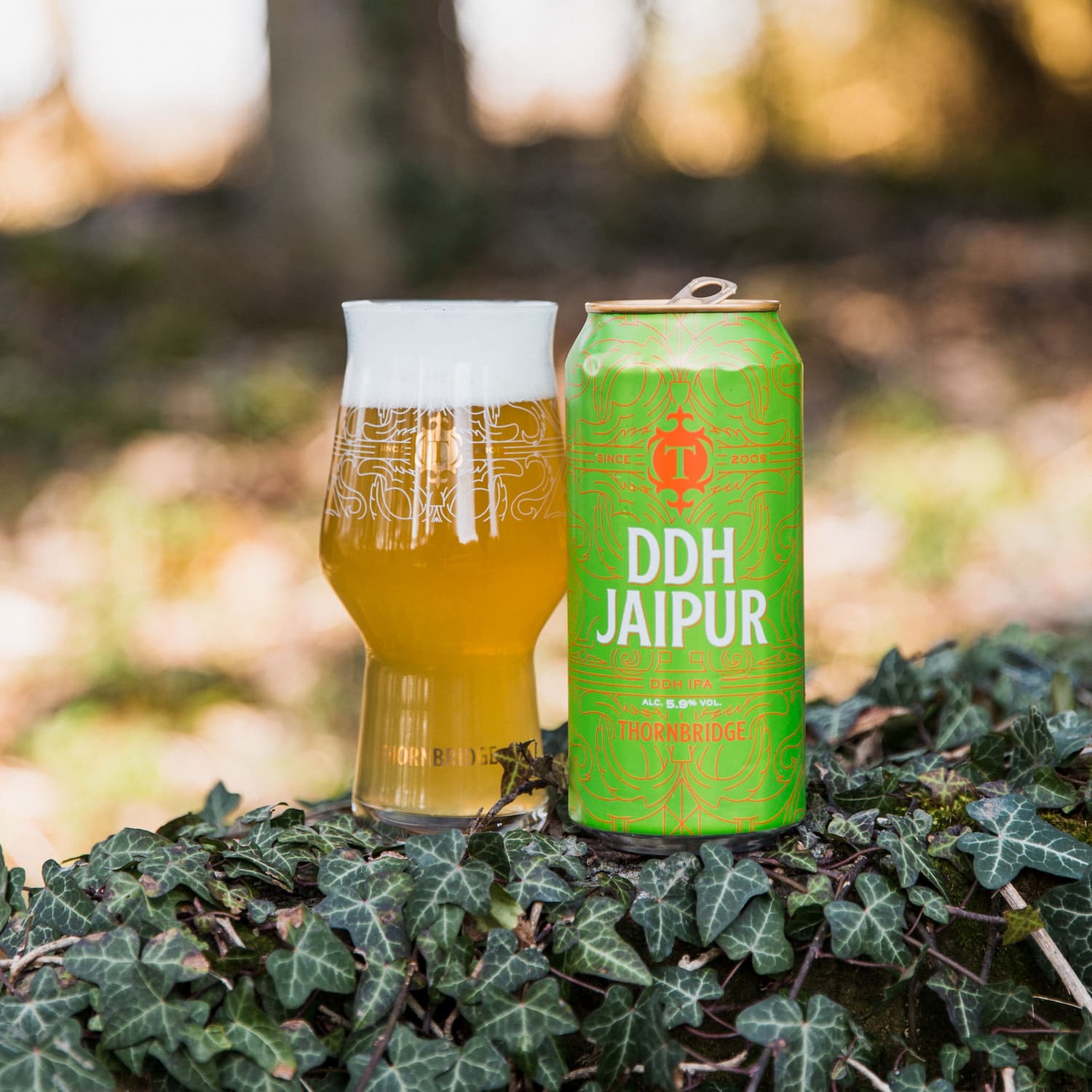 DDH Jaipur, 5.9% DDH IPA 12x440ml cans Beer - Case Cans Thornbridge