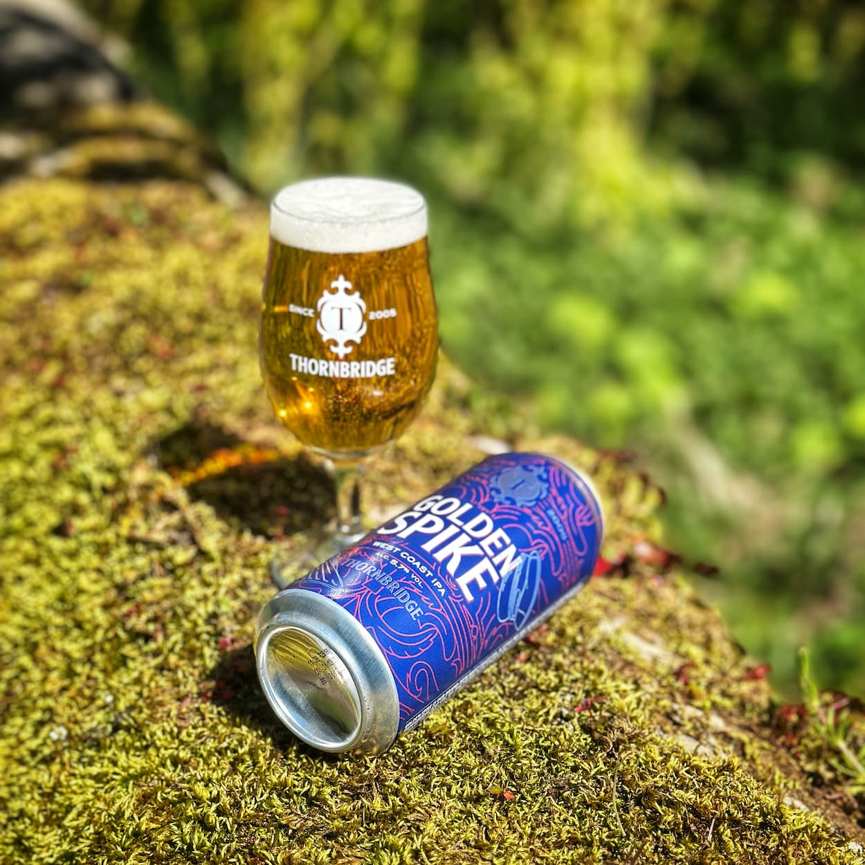 Golden Spike, 5.7% West Coast IPA Beer - Cans Thornbridge