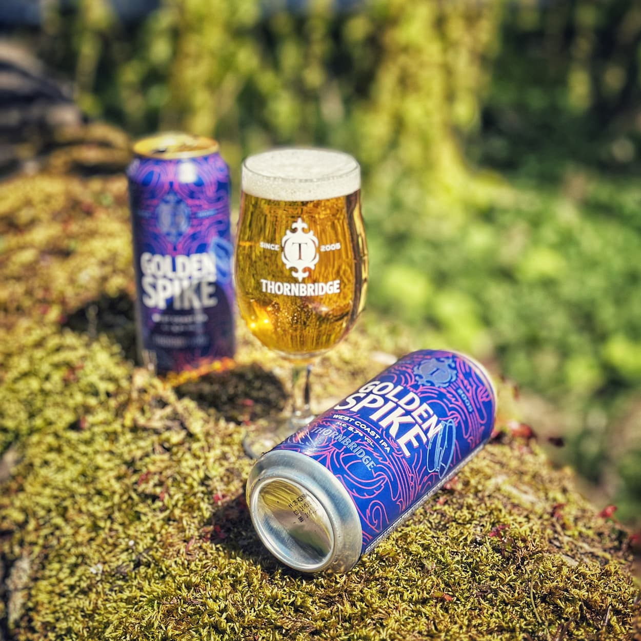 Golden Spike, 5.7% West Coast IPA Beer - Cans Thornbridge