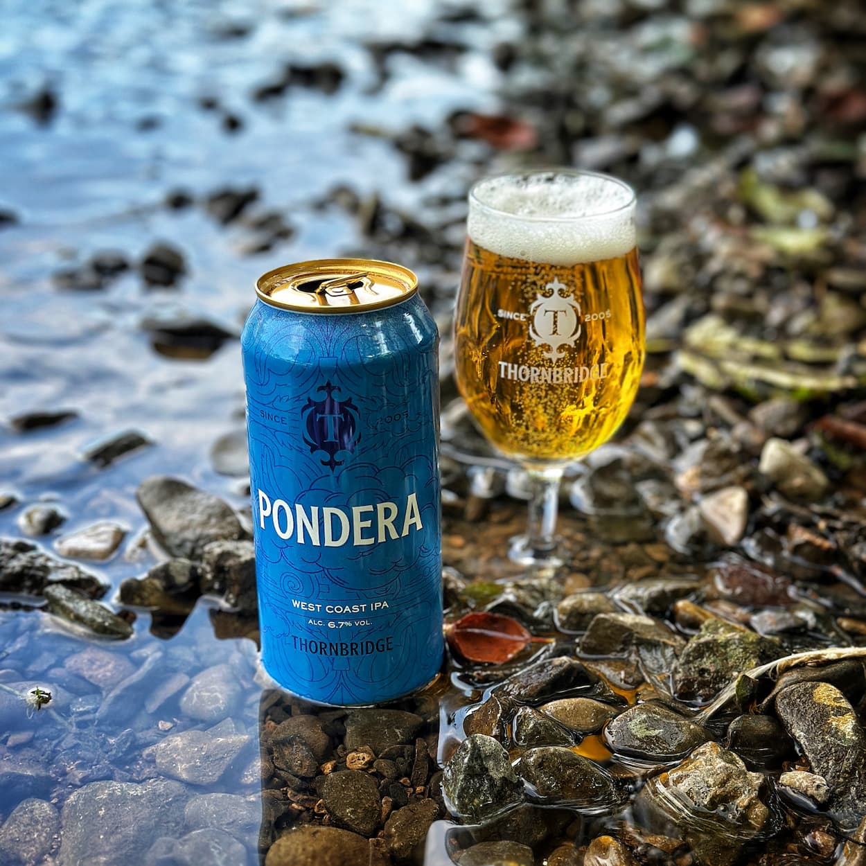 Pondera, 6.7% West Coast IPA Beer - Cans Thornbridge