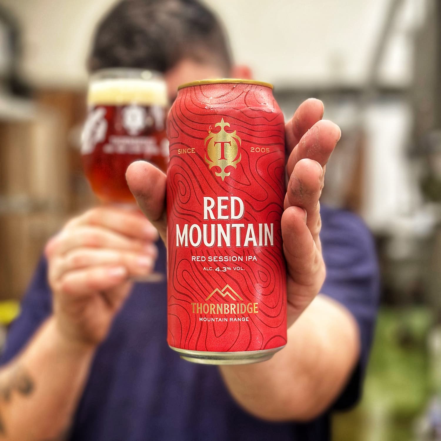 Red Mountain, 4.3% Red Session IPA Beer - Single Can Thornbridge