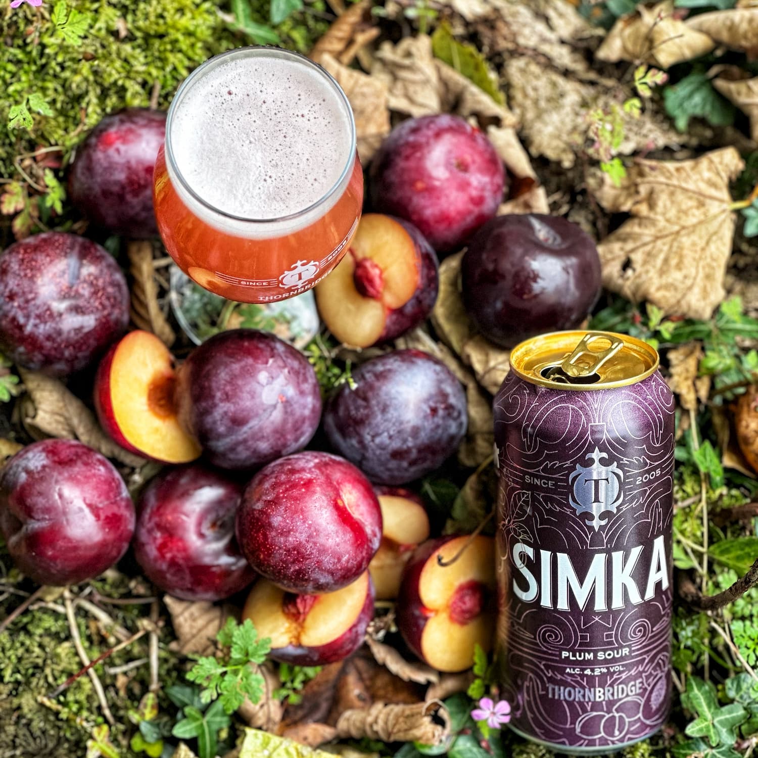 Simka, 4.2% Plum Sour 12 x 440ml cans Beer - Case Cans Thornbridge