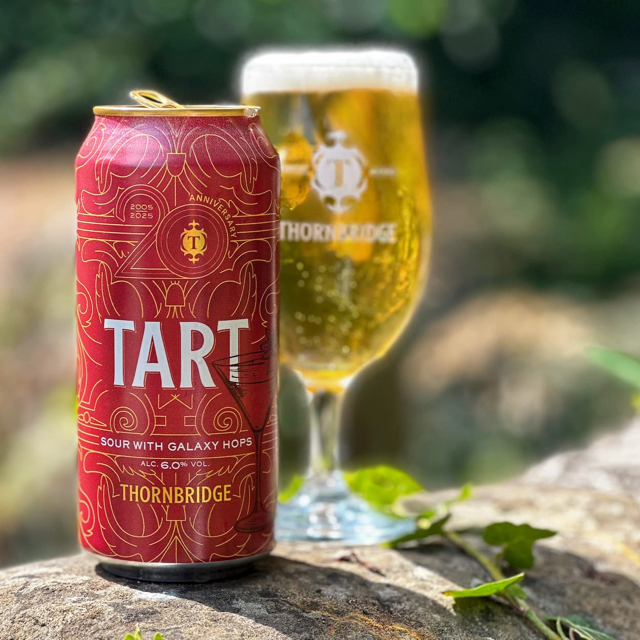 Tart, 6% Sour with Galaxy Hops