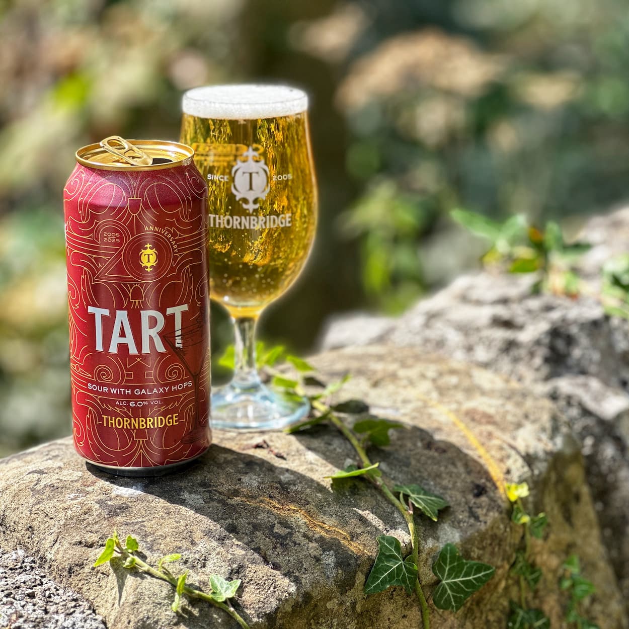 Tart, 6% Sour with Galaxy Hops