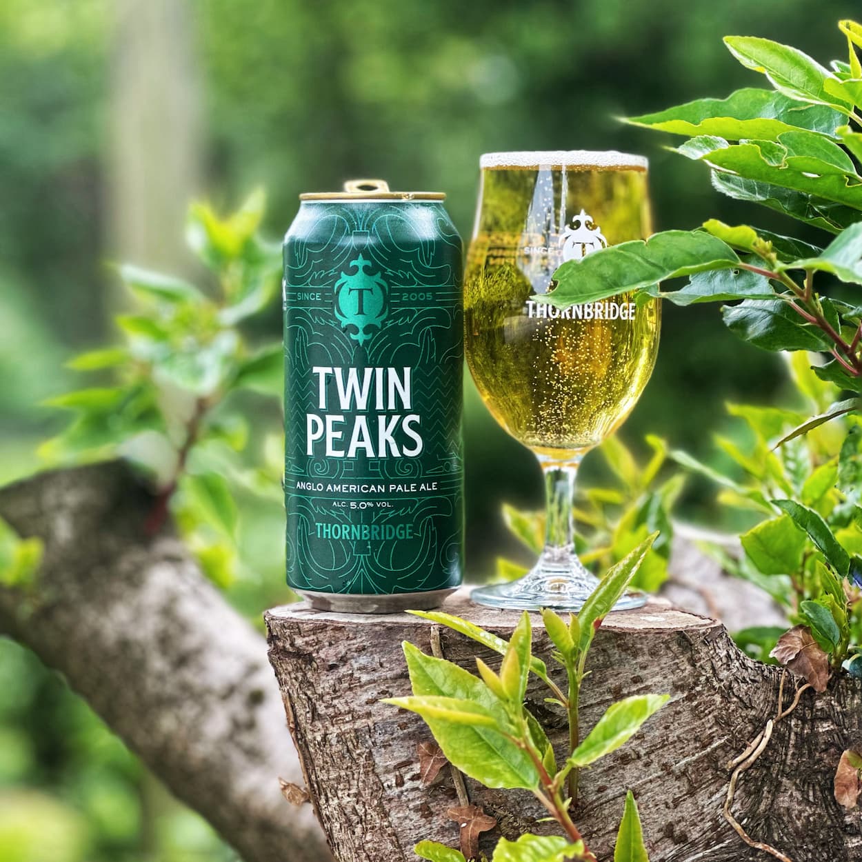 Twin Peaks, 5% Anglo American Pale Ale Beer - Cans Thornbridge
