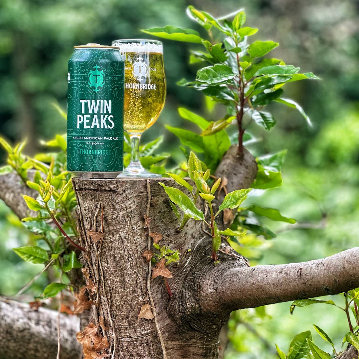 Twin Peaks, 5% Anglo American Pale Ale Beer - Cans Thornbridge