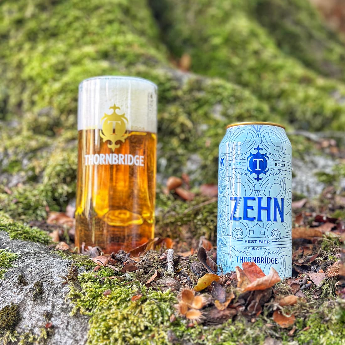 Zehn, 6% Fest Bier