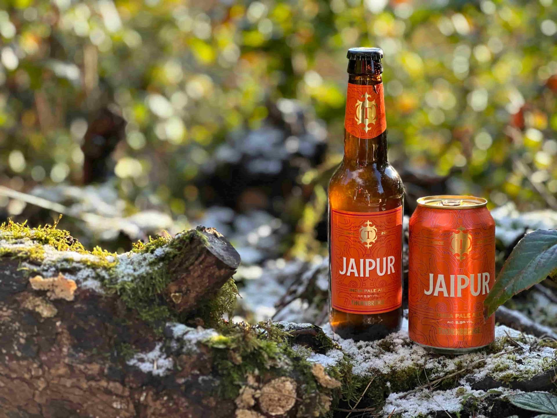 Jaipur beer bottle and can on a mossy log with a hard frost and a natural background