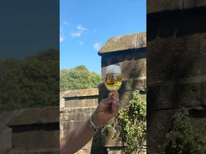 Ster, 5.2% Continental Lager Beer - Cans Thornbridge