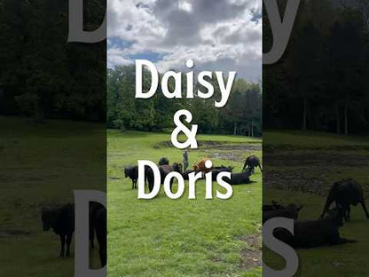 Daisy & Doris, 5% Saison Beer - Cans Thornbridge