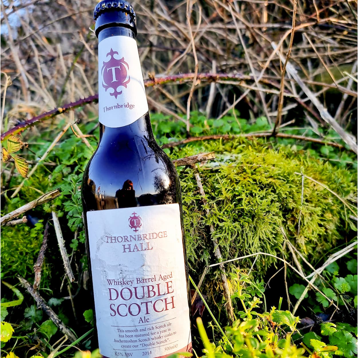 Double Scotch, 8.5% Whisky Barrel Aged Double Scotch Ale 500ml bottle Beer - Cellar Reserve Thornbridge