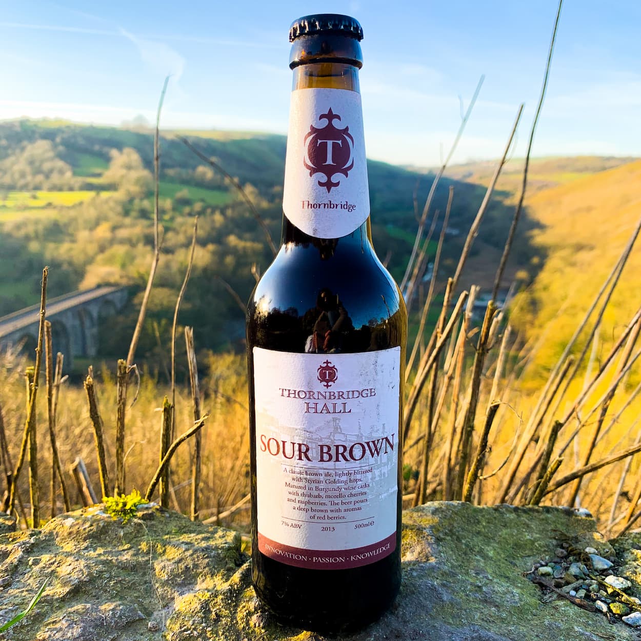 Sour Brown, 7% Brown Ale matured in burgundy casks with rhubarb, cherries and raspberries 500ml bottle Beer - Cellar Reserve Thornbridge