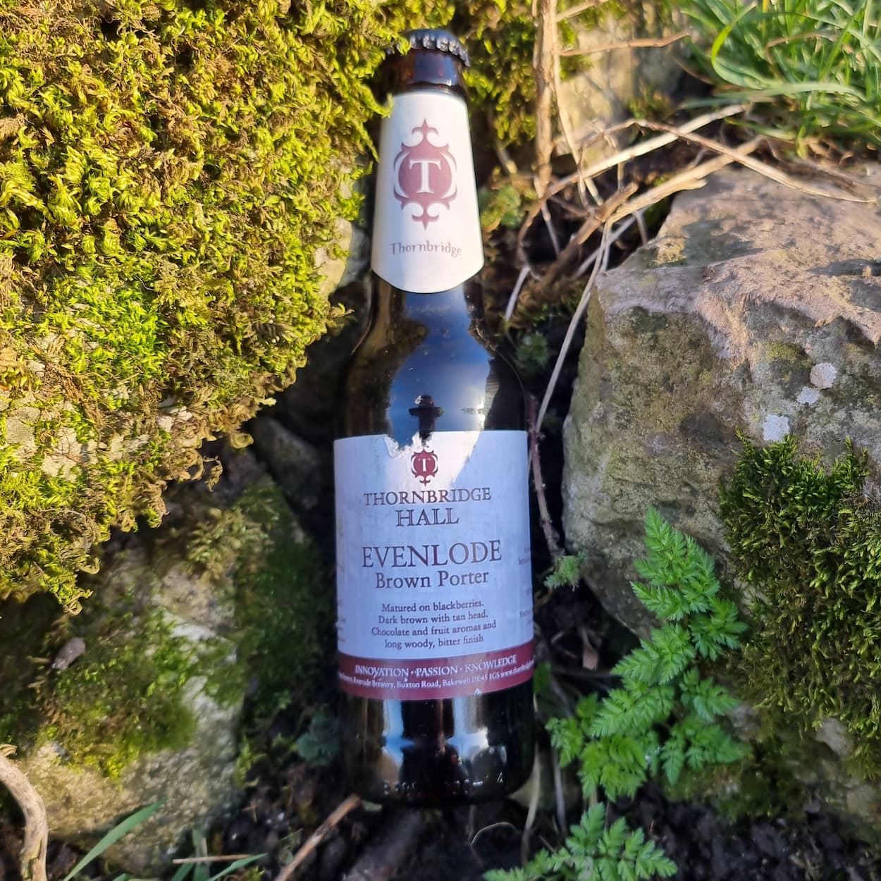 Evenlode, 6.2% Brown Porter matured on blackberries 330ml bottle Beer - Cellar Reserve Thornbridge